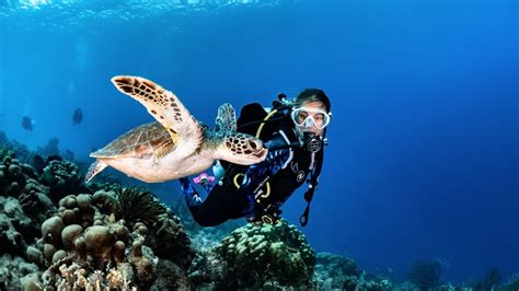 All4diving® Scuba Diving Phuket Thailand • Best Phuket Diving Padi Center