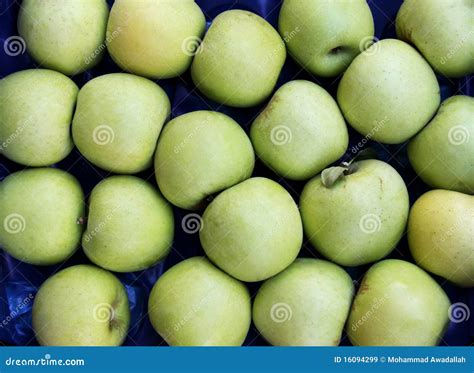 Green Apples Texture Stock Image Image Of Green Fruit 16094299