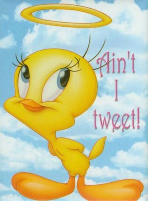 71 Best Tweety Bird Images On Pinterest Tweety Bird And Looney Tunes