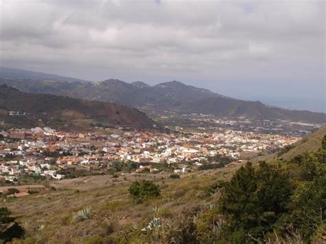 Tegueste Tenerife Recogerá En Una Guía Todos Los Elementos De