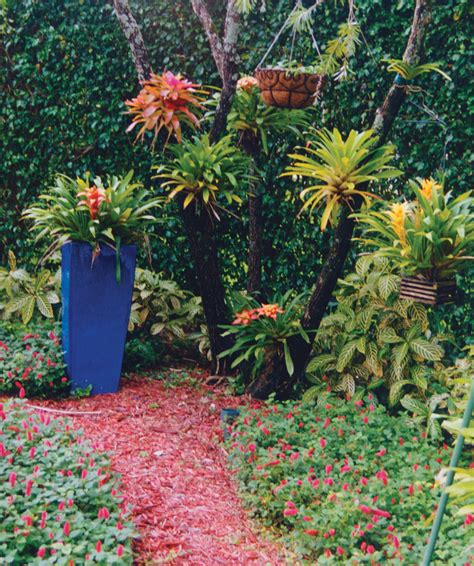 Container Garden In Boca Raton Tropical Landscape Miami By