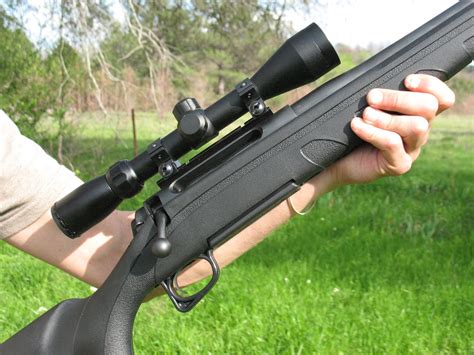 Sensible Survival Remington Model 770 In 308 Caliber Review