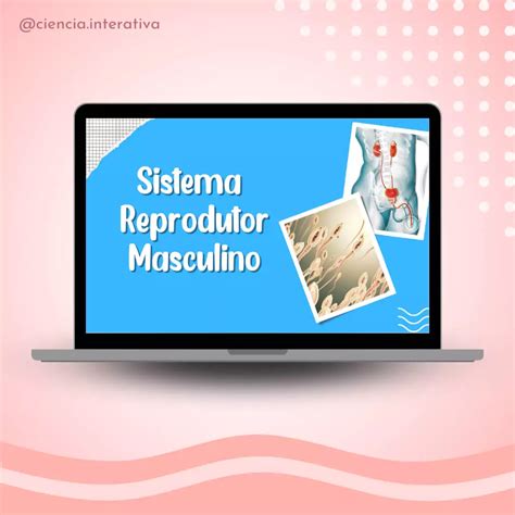 Atividade Sistema Reprodutor Masculino