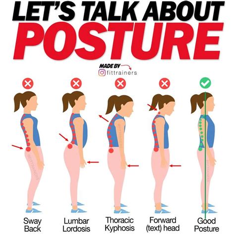 How To Correct Lordosis 12 Week Program Cristobalbreedlove