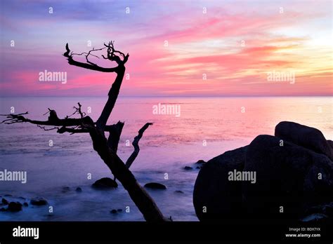 Silhouetled Hi Res Stock Photography And Images Alamy
