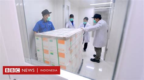 Vaksin Covid Sinovac Mengapa Indonesia Memilihnya Dan Sejauh Mana