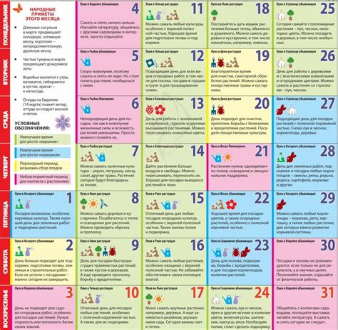 Посевной календарь на 2019 год: таблица благоприятных лунных дней для посадки ог