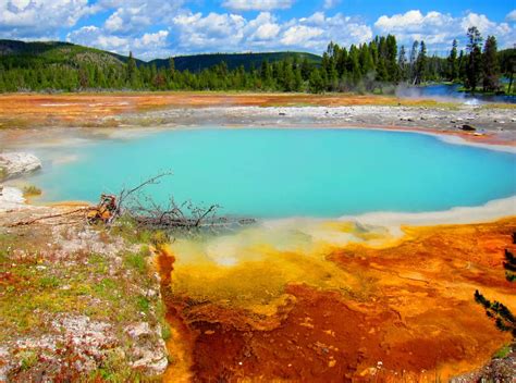 Top 10 Things To Do In Yellowstone National Park With Photos