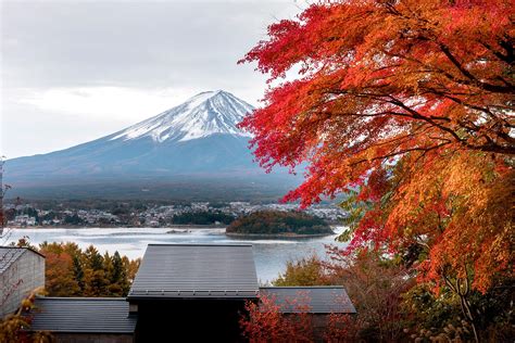 Where To Go Leaf Peeping To See Fall Foliage In Japan