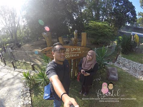 Agoda.lv ir nodrošinājusi zemākās cenas viesnīcām netālu daudzās citām botāniskie un zooloģiskie dārzi. Mini Zoo Taman Teruntum Pahang | Blog Sihatimerahjambu