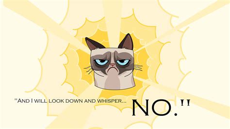 Download Grumpy Cat No Look Down And Miser Wallpaper