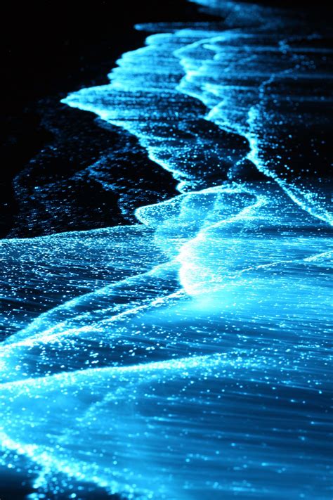 Bioluminescence Wallpapers Top Free Bioluminescence Backgrounds