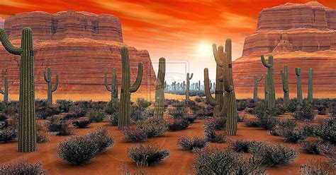 Arizona Desert Pictures For Wallpaper Free Best Hd Wallpapers