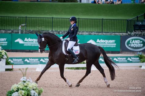 Grade IV Individual Test Initiates Para-Equestrian Dressage Competition at FEI World Equestrian ...