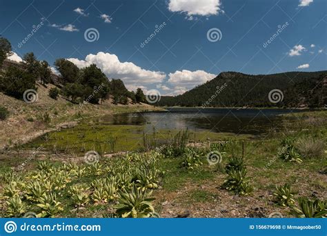 Quemado Lake North Western View New Mexico Stock Photo Image Of