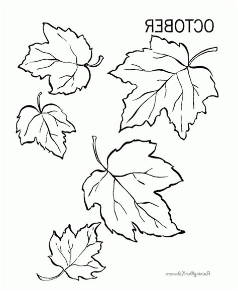 Coolest leaves coloring page - http://coloring.alifiah.biz/coolest