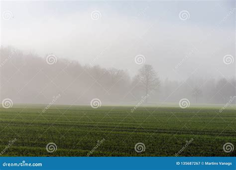 Morning Mist Fog Over Meadows Stock Image Image Of Fair Sunset