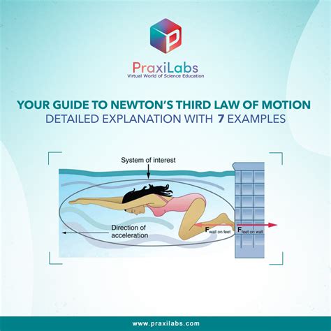 Newton S Third Law Fully Explained With Examples Praxilabs