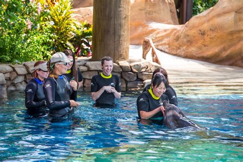 Zhonghong Group Snaps Up Blackstone’s Shares In Seaworld With Plans To Bring Brand To China