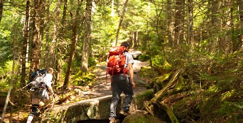 Safe Hiking During Hunting Season Adirondack Experience