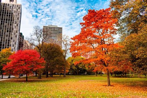 18 Best Places To See Fall Colors In Illinois 2024 Guide