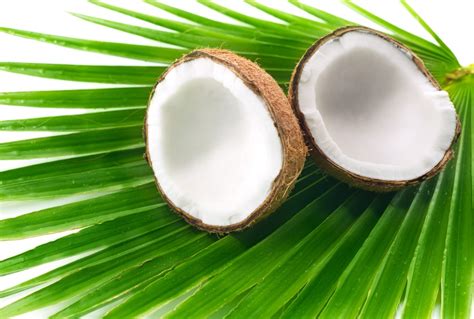 Coconut A Single Fruit With Million Benefit Health And Beauty
