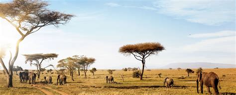 Luxury Tanzania Holidays 202324 Classic Collection