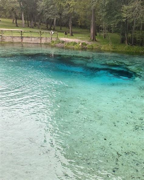Silver Springs State Park Florida Lives State Parks Florida State