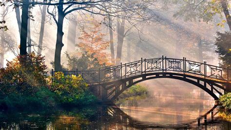 Bridge Between River Trees Fog Sunrays Background Hd Scenery Wallpapers