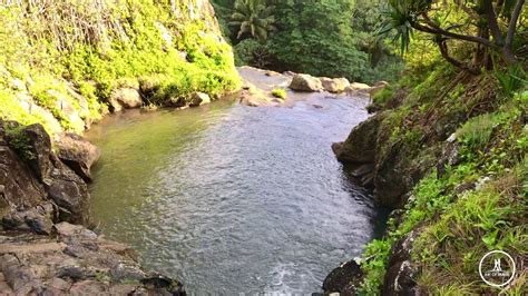 🌺 Secret Waterfall On Road To Hana Maui Hawaii Youtube