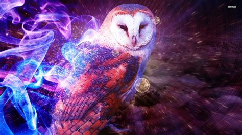 Art Owl Wallpapers Top Free Art Owl Backgrounds Wallpaperaccess