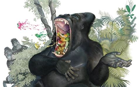 Gorillas Hum And Sing While They Eat To Say Do Not Disturb