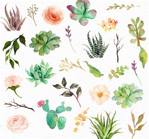 Over 18,608 cactus flower pictures to choose from, with no signup needed. Watercolor succulent clip art -Pastel Succulent Elements ...