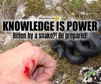 Venomous Snake Bites Here S What To Do General Nursing Talk Allnurses