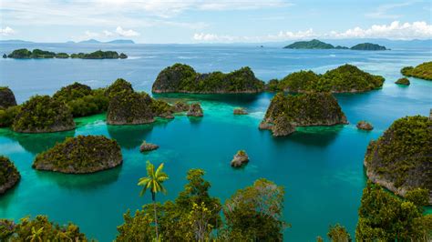 Scuba Diving In Raja Ampat Indonesia Tropics Islands Is Some Of The