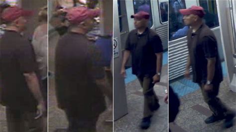 Woman Sexually Abused On Crowded Cta Red Line Train In Citys North