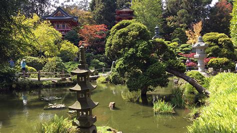 Japanese Tea Garden In Golden Gate Park San Francisco