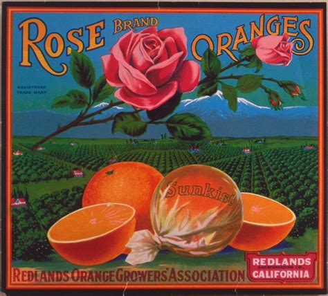 Orange Crate Label Rose Brand Oranges Orange Crate Labels Vintage