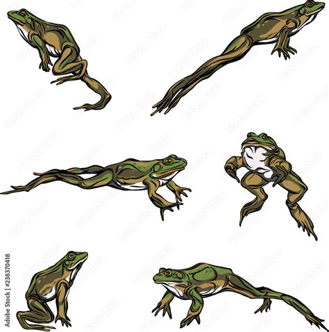Frog Jump Options Illustration Black Color Vector Stock Vector
