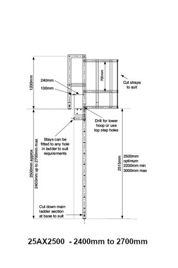 Vertical Access Cat Ladder Kit Ladder Warehouse
