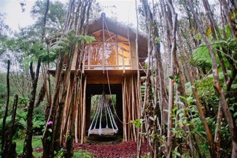 Tree House In Hawaii Popsugar Smart Living