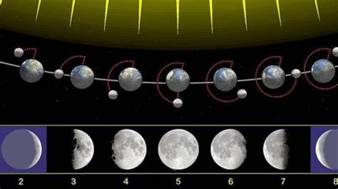 Las 8 Fases De La Luna Características Con Imágenes