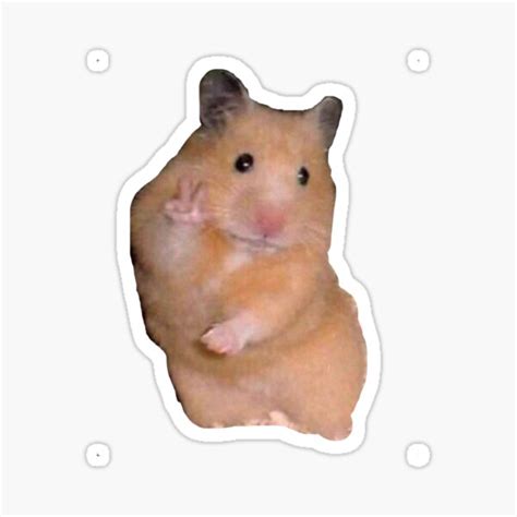 Peace Sign Hamster Sticker By Bellis Redbubble