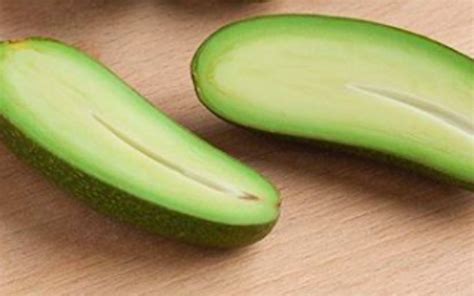 These Seedless Avocados Are Proof That The End Is Near