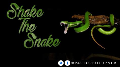 Shake The Snake 2 11 18 Youtube