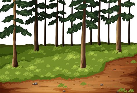 Download Free Forest Png Transparent Background And C