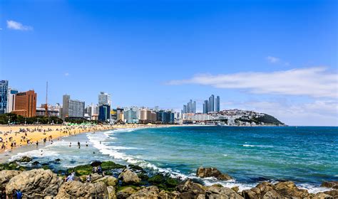 Coastal Cityscape And Landscape In South Korea Image Free Stock Photo