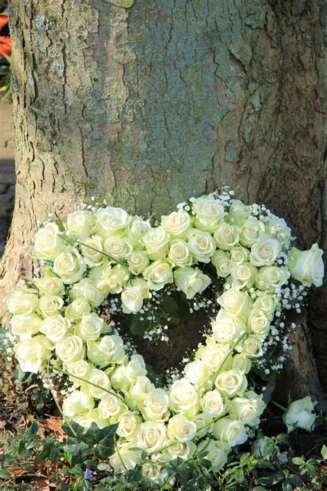 Heart Shaped Sympathy Flowers Stock Photo Image Of White Texture