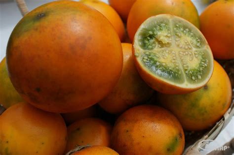 17 Tropical Fruits You Need To Try In Ecuador
