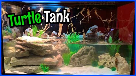 Setting Up A Natural Turtle Tank 30 Gallon Youtube